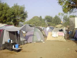 Still more tents